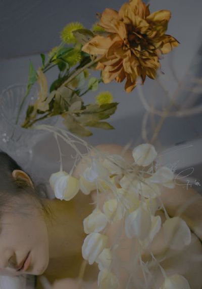 女秘书的条件电影_西瓜视频在线观看